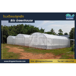 โรงเรือนจั่วโค้ง 6x14x3.8 ม. 3 หลัง จ.สุราษฎร์ธานี