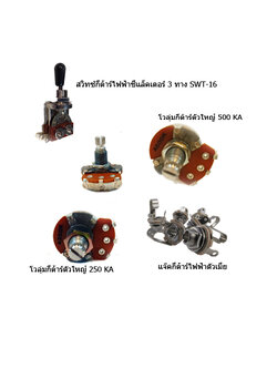 แพคเกจอะไหล่กีต้าร์ไฟฟ้า