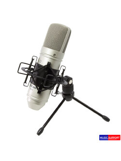 ไมโครโฟนบันทึกเสียง TASCAM TM-80 Condenser microphone Silver