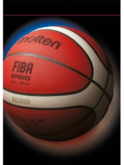 BASKETBALL molten catalog 2024