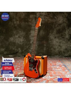 พิณ Nakaraj Pin-1 เครื่องดนตรีพื้นบ้าน