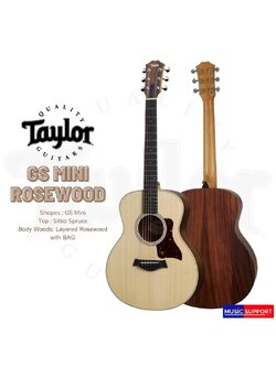 TAYLOR GS MINI ROSEWOOD/BAG