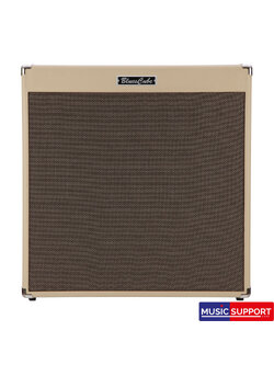 Roland Blues Cube Cabinet410