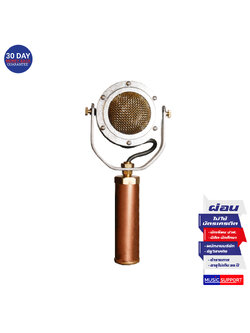 Ear Trumpet Labs EDWINA Condenser Microphone