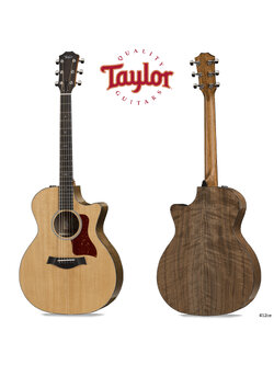 กีต้าร์โปร่งไฟฟ้า Taylor 514ce Limited Edition Torrefied Spruce/Walnut