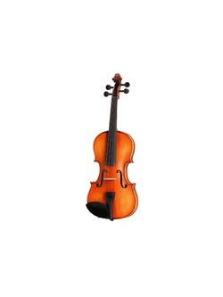 ไวโอลีน Standard Violin SV2