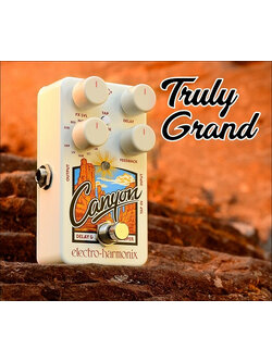 Electro-Harmonix Canyon Delay and Looper