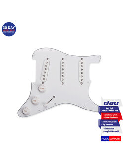 Seymour Duncan California 50’s™ Loaded Pickguard SSL-1