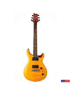 PRS SE Paul'S Guitar 2019
