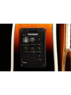 ปิคอัพกีตาร์โปร่ง Fishman PSY101