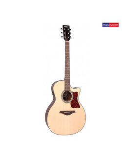 กีตาร์โปร่งไฟฟ้า Vintage Sweetwater Electro VGA900