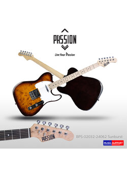 Passion กีต้าร์ไฟฟ้า Bird-Eye EBTL-01 TL MP
