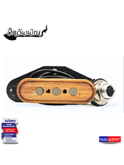 ปิ๊กอัพ พิณไฟฟ้า / Pickup Pin