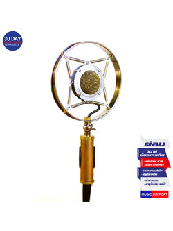 Ear Trumpet Labs MYRTLE Condenser Microphone