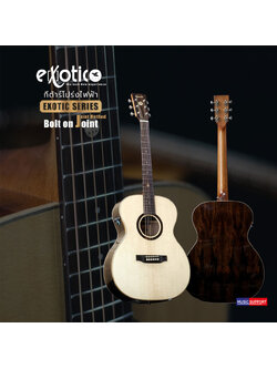 Kazuki Exotic Series Ziricote OM