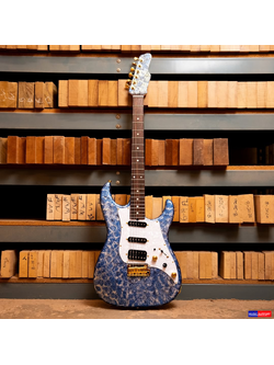 กีตาร์ไฟฟ้า James Tyler JTG Series SE MK I – Blue Milky Way