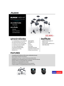 Alesis Surge Mesh Kit (กลองไฟฟ้า)