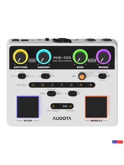 เอฟเฟคร้อง Audota AVE-100 Vocal Multi Effect