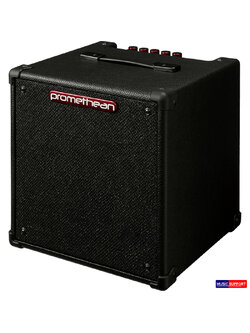Ibanez P20 Bass Combo Amplifier
