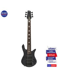 เบสไฟฟ้า Spector Euro 6 LX Black Stain Matte