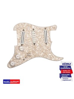 Seymour Duncan Dave Murray Set