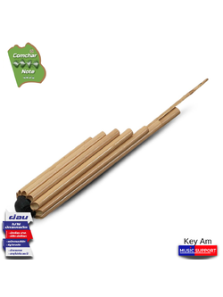 คำชะโนด โหวดอีสาน อย่างดี / คีย์Am