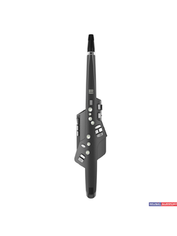 แซ็กโซโฟนไฟฟ้า Roland AE-10G