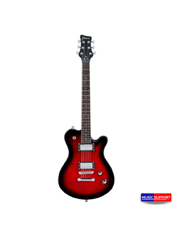 FRAMUS D-SERIES / PANTHERA SUPREME