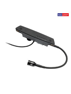 ปิคอัพกีต้าร์โปร่งFIshman rare earth-hum.blender pro-REP-103