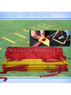 Smiler SL12 สปีดแลดเดอร์ 12 สเต็ป 5-6 m (แผ่นหนา มีระบบล๊อค)