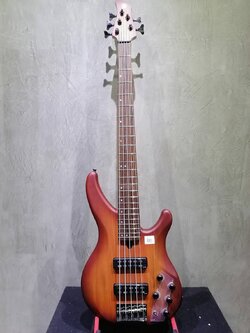 เบสไฟฟ้า Yamaha TRBX505 5-String