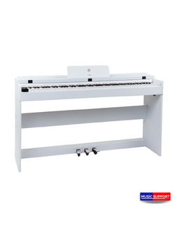 เปียโนไฟฟ้า Coleman F201 Digital Pianos