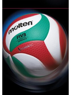 VOLLEYBALL molten catalog 2024