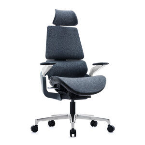 Ergonomic Chairs
