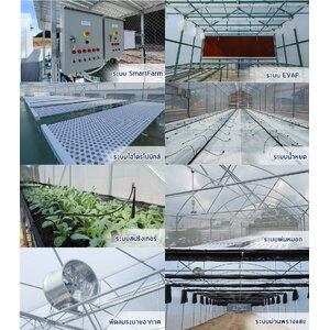 งานระบบ