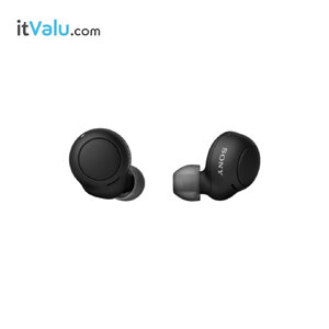 WF-C500 Truly Wireless Headphones