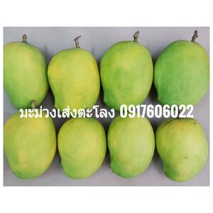 ผัก ผลไม้สดตามฤดูกาล