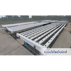 ระบบ ไฮโดรโปนิกส์