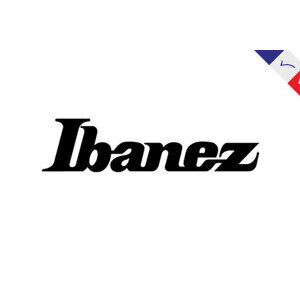 Ibanez Elactric Guitar