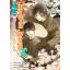 Animag ผู้พิทักษ์สวน โมจิซึกิ โซชิโร่ มาแล้ว! NOVEL เล่ม 5 ตอน ความแปดเปื้อนที่ทับถมกับการปัดรังควานครั้งใหญ่