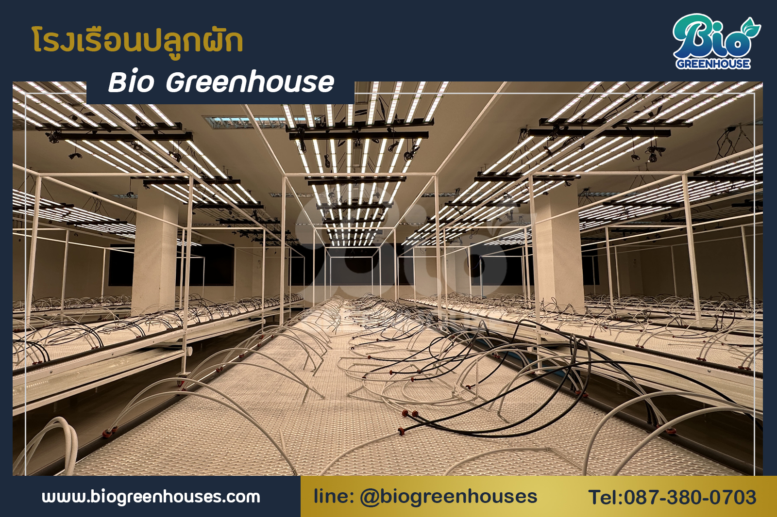 โรงเรือนIndoor จ.กรุงเทพ