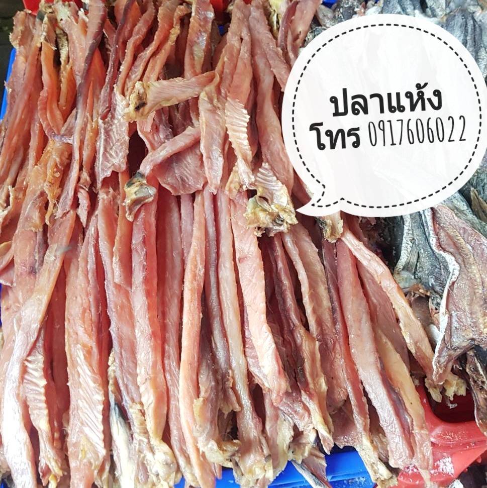 ปลาแห้ง ปลาช่อนแดดเดียว ปลาช่อนตากแห้ง ปลาแดดเดียว ปลาพม่า ปลาช่อนพม่า ปลาพม่าตากแห้ง ปลาตากแห้ง