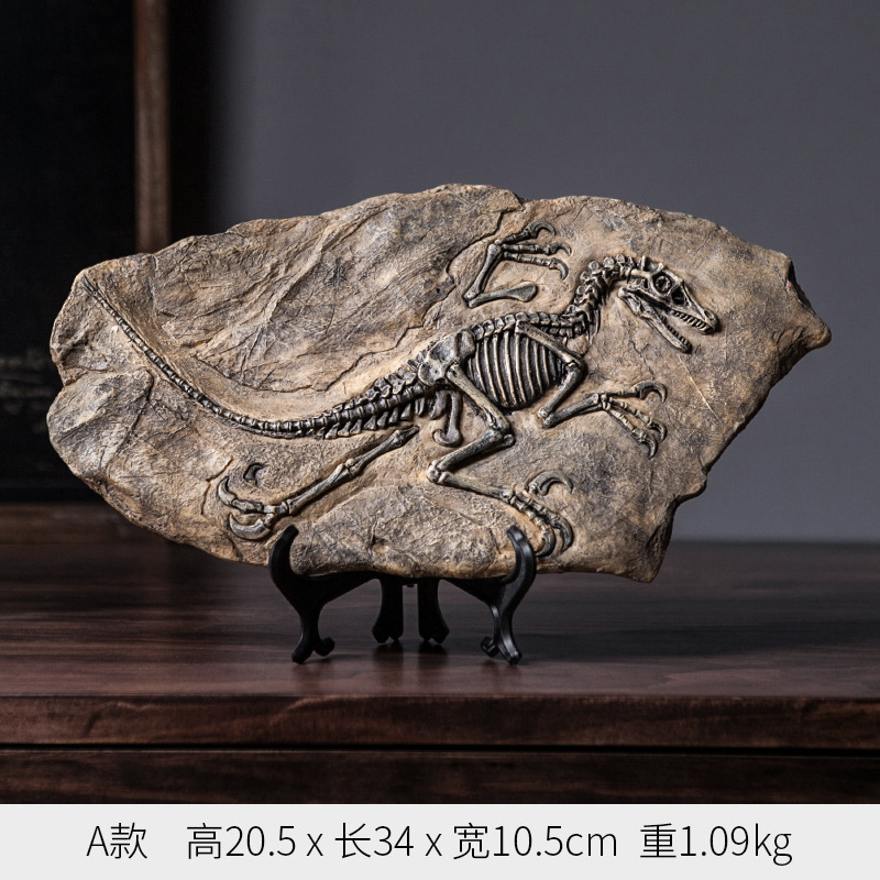 C1009B025 FAMITOSS ของแต่งห้อง ของขวัญ ฟอสซิลจำลอง ไดโนเสาร์ DINORSAUR FOSSIL แต่งห้อง ตกแต่งห้อง ตั้งโชว์ แต่งร้าน