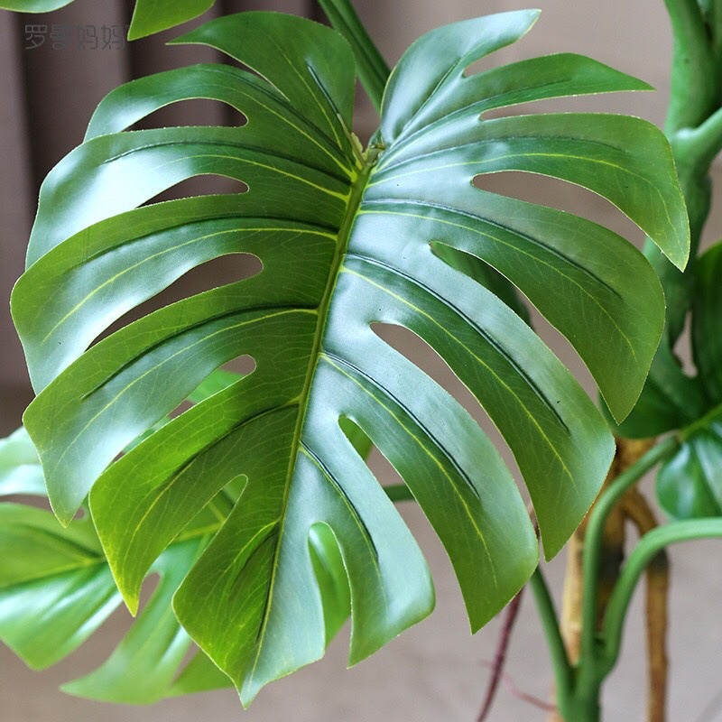 TS061J018 TROPACL ต้นไม้ปลอมตกแต่งบ้าน ต้นมอนสเตอร่า 160ซม. ARTIFICIAL PLANT ต้นไม้ปลอม ต้นไม้แต่งห้อง ต้นไม้ทรงสูง