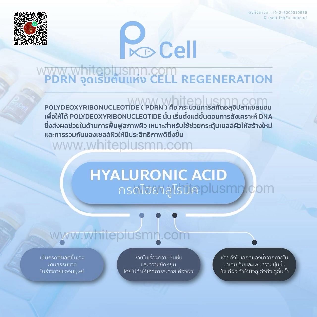 Pcell DNA Stem Cell