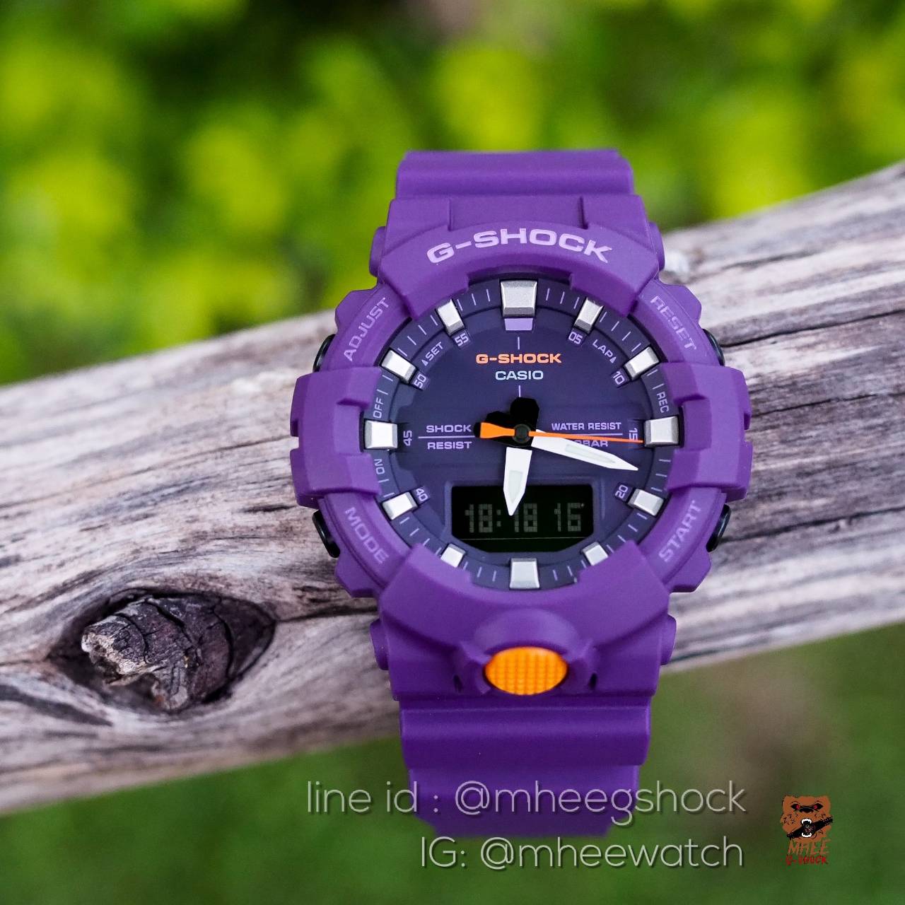 G-Shock ม่วงมังคุด รุ่น GA-800SC-6A ของแท้ ประกันศูนย์ Rare Item