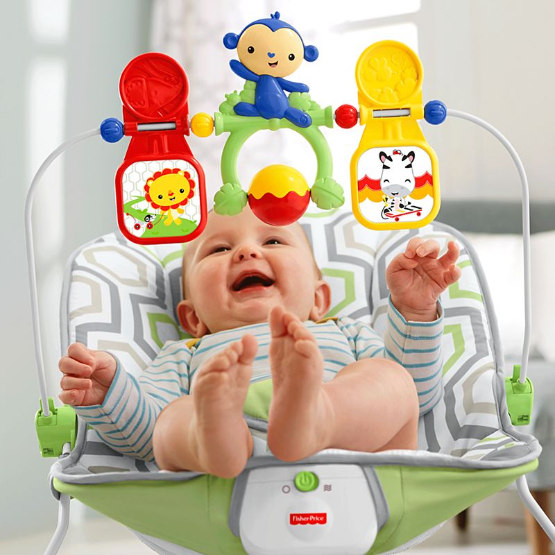 Fisher Price Baby s Bouncer Geo Meadow เปลโยกมีระบบสั่น