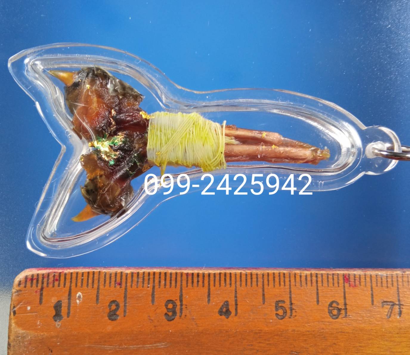 เดือยงูเหลือม เครื่องรางอาถรรพ์ ด้านโชคลาภ ทำมาหากิน และเสี่ยงโชค ลาภลอย ของแท้ต้องแบบนี้ครับ