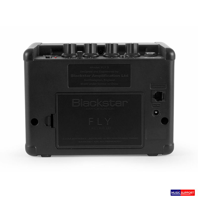 Backstar fly 3 mini amp Sugar Skull