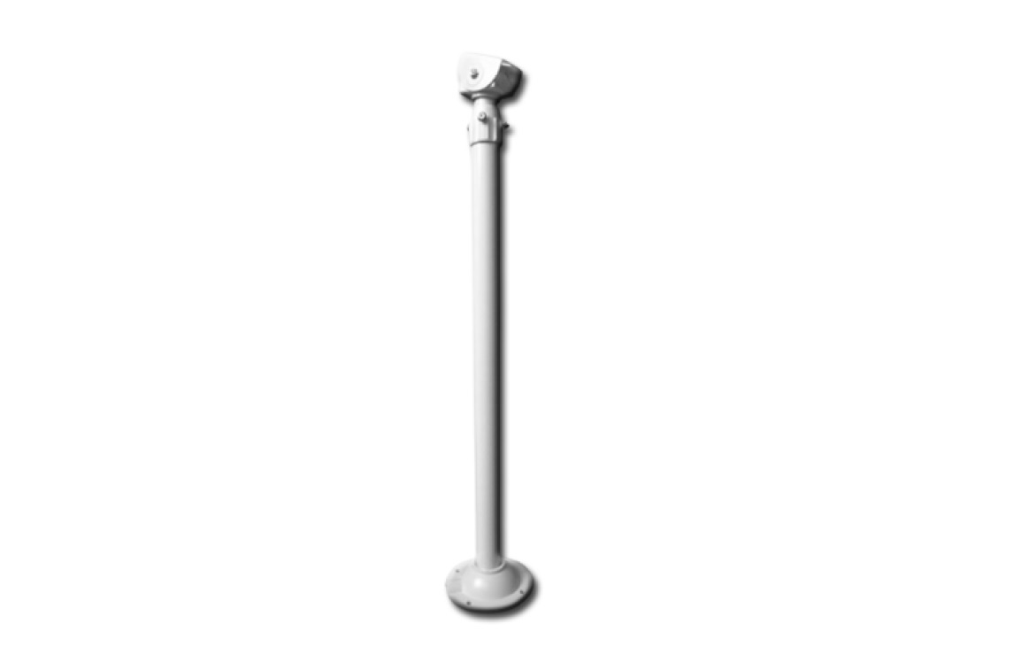 Pendant Long mount for Dome